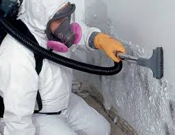 Reliable Mount Vernon, WA Mold Removal Services Solutions